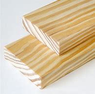 Image result for American Southern Yellow Pine