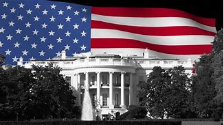 Image result for White House American Flag