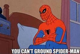 Image result for Spider Memes Funny
