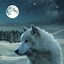Image result for Wolf Wallpaper for Phone