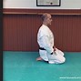 Image result for Basic Karate Stances