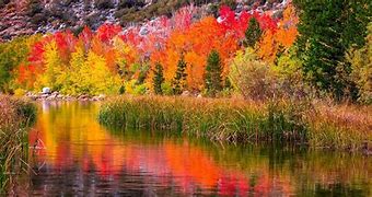 Image result for Northern California Fall Colors