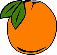 Image result for Orange FaceTime Icon