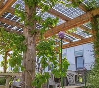Image result for Solar Panels On Green Roof Apartment