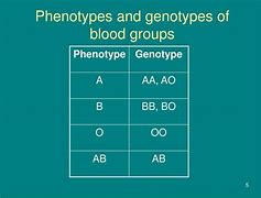 Image result for Father of Blood Type
