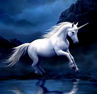Image result for Wallpaper Stallion Unicorn