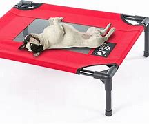 Image result for Cool Dog Beds