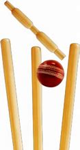 Image result for Cricket Stump PNG Image