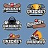 Image result for Cricket Design