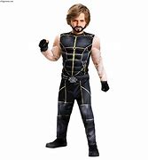 Image result for Best WWE Costumes