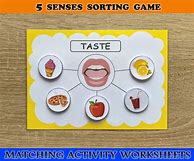 Image result for Five Senses Activity