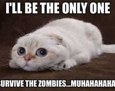 Image result for Zombie Cat Meme
