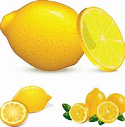 Image result for Orange Lemon Lime Cute