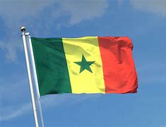 Image result for Drapeau Du Senegal