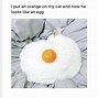 Image result for Sleepy Egg Meme