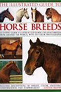 Image result for Horse Breeds in Order