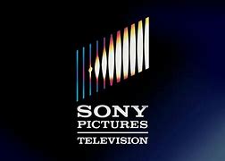 Image result for Sony 17 Logo