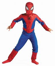 Image result for Spectacular Spider-Man Suit