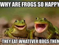 Image result for Frog Emoji Meme