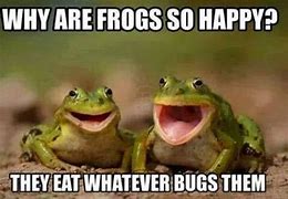 Image result for I Got Too Silly Frog Meme