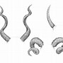 Image result for Types of Devil Horns