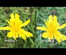 Image result for iPhone 6 Front-Facing Camera Megapixels