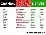 Image result for Anatomy Mnemonics