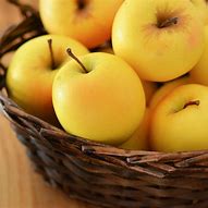 Image result for Yellow Delicious Apple Tree
