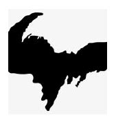 Image result for Michigan Upper Peninsula Silhouette