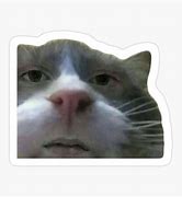 Image result for Cat with Human Lips Meme