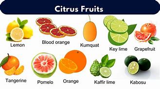 Image result for Exotic Citrus Fruit