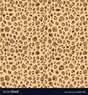 Image result for Bone Texture Vector