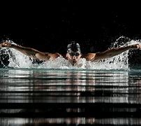 Image result for 4K Swimming Stock Images