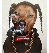 Image result for OH Lawd Snoop Dog