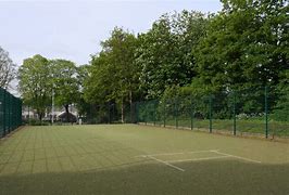 Image result for Cricket Court Size