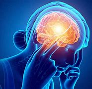 Image result for Picture of a Man's Brain Area of Stress