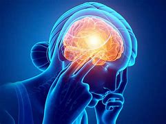 Image result for Stress and the Brain