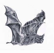 Image result for Bat Painted Like a Pencil