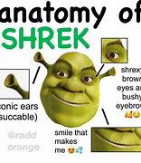 Image result for Funniest Shrek Memes