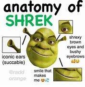 Image result for Human Shrek Meme