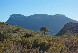 Image result for abancalat