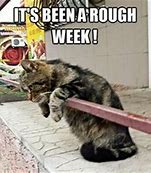Image result for Rough Week Made It to Friday Meme