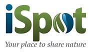 Image result for All across Ispot