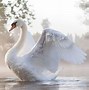 Image result for Pretty Swans