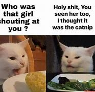 Image result for smudging the cats memes