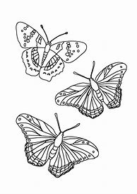 Image result for Flying Butterfly Coloring Pages