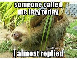 Image result for Good Morning Sloth Meme