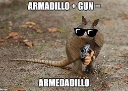 Image result for Armadillo Meme