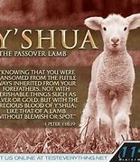 Image result for Passover Lamb Messianic