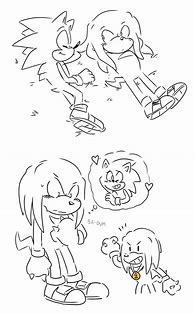 Image result for Knuckles the Echidna Funny